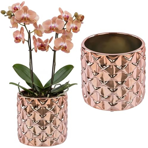 botle Pot de fleurs, en céramique, effet miroir, or rose, diamètre : 13,5 cm, pour plantes d'intérieur, structure brillante, glamour