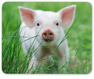 Cute Pink Piglet Mouse Mat Pad - Pig Pigs Farm Animal Kids Computer #13031