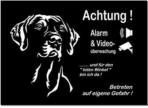 Rhodesian Ridgeback-Alarm + Videoüberwacht-Hund-Schild-Hundeschild- 3 Größen-Aluminium-Hunde-Tierschild-Warnschild-Hinweisschild (1451-137=30x20 cm mit 4 Löcher)