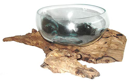 Deko Glasschale Ø 30 cm Obstschale Blumenschale auf Wurzel-Holz, Vase Schale mit Treib-Holz Dekovase Dekoschale charakteristische Dekoration