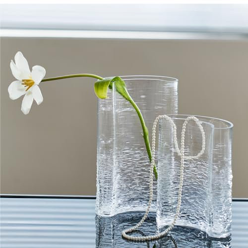 CYL Home Handgeblasene Glasvase, einzigartige Mond-Form, Mund-Design, Blumenarrangement, Vase, Wasserwellen-Textur, Tischdekoration, Vasen, 21,6 cm hoch, transparent