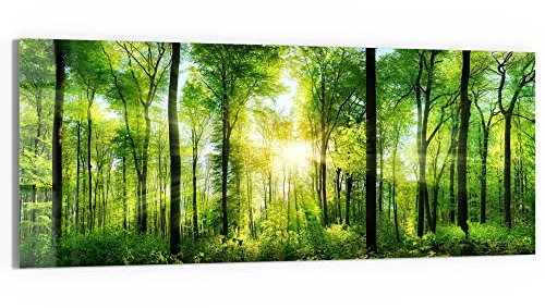DEQORI Glasbild Acrylglas | Motiv Sonne durchbricht Wald | horizontal einteilig 125x50 cm | schöne Dekoration | Wandbild für Wohnzimmer, Schlafzimmer, Flur & Küche | moderne Wanddeko