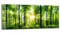 DEQORI Glasbild Acrylglas | Motiv Sonne durchbricht Wald | horizontal einteilig 125x50 cm | schöne Dekoration | Wandbild für Wohnzimmer, Schlafzimmer, Flur & Küche | moderne Wanddeko