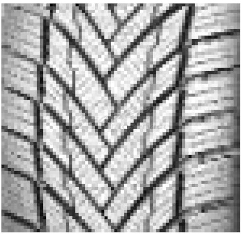 ROTALLA - 255/45 R19 TL 104V SETULA W RACE S330 XL BSW M+S 3PMSF - Winterreifen