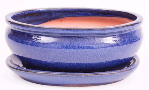 Bonsai-Shopping Bonsai - Schale oval 20.5 x 16.5 x 8 cm, blau, mit Untersetzer 23193