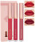 Matte Liquid Lip Gloss Set-3Pcs High Pigmented Lip Stain Tint, Long Lasting 24H Red Lipstick Waterproof Non-Stick Cup Velvet Lip Gloss, Smudge Proof Not Fade Lip Blam Makeup Gift Box for Women-Set c