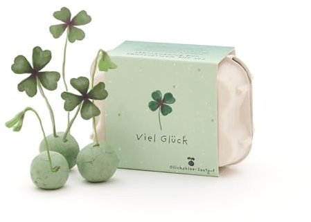 Wachsender Glücksbringer l 6 grüne Saatkugeln mit Glücksklee-Saatgut im Mini-Eierkarton l Viel Glück-Geschenk für Prüfungen, Abschluss und andere Anlässe, bei denen man Glück gebrauchen kann