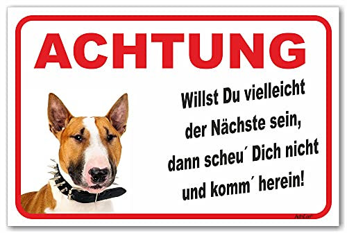 AdriLeo Schild - Vorsicht Bullterrier - Der Nächste - (40x60cm) / Hellbraun/weiß - Achtung Hund Wachhund robust langlebig UV-beständig wetterfestes Warnschild