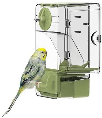 Automatischer Vogelfutterspender, Vogelkäfig-Futterspender mit Sitzstange Multifunktionaler Halter für Obst und Gemüse für Wellensittiche, Sittiche, Kanarienvögel, Nymphensittiche, Finken (Grün)