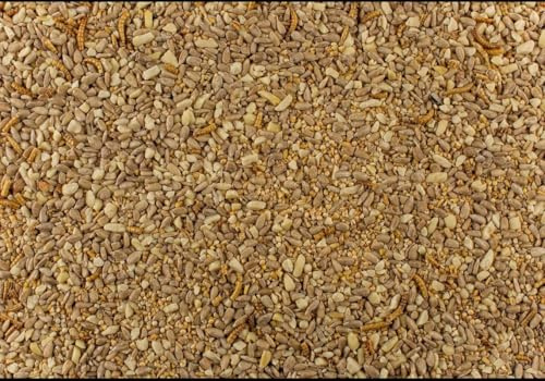 12.75 kg Johnston & Jeff Robin & Songbird Wild Bird Food with Mealworm – Premium High Energy Seed Mix for Robins & Small Garden Birds | Sunflower Hearts, Peanut Granules, Mealworms