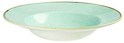 Churchill Stonecast Wide Rim Bowl Pasta Plate Diameter 28 cm Choice of Colours (Duck Egg Blue)