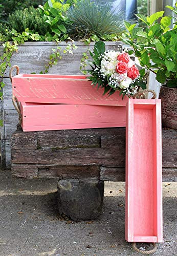 Dekorie Blumenkasten Pflanzkasten Massivholz Pflanzkiste Aufbewahrungskiste Apricot Pink Shabby Juteband (50 cm)