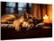 Munera Design - Bild 56x84 - schlafender Hund Welpe deutscher Schäferhund - Wand-Bilder Wohnzimmer