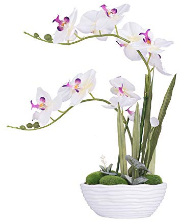 YSZL Large Artificial Potted Orchid Plant, Silk Flower Arrangement with Ceramics Vase, White