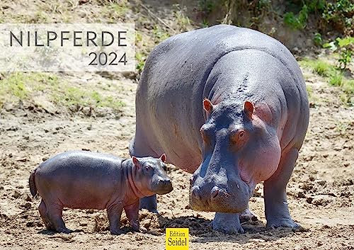 Edition Seidel Premium Kalender Nilpferde 2024 Format DIN A3 Wandkalender Tierkalender Afrika Nilpferd Großflusspferd Hippopotamus Nil Raubtiere Wildtiere