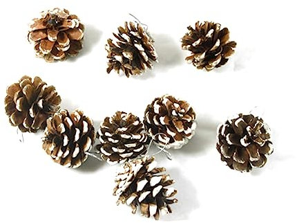 Garneck Pigne Naturali in Confezione Sfusa 6 5 Cm Grandi Decorazioni Per Lalbero Di Natale Decorazioni Per La Casa