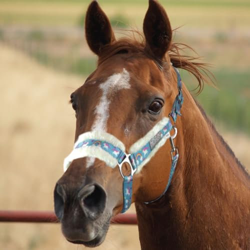 Halfter und Longhina, mehrfarbig, Halfter mit Longie, verstellbar, weich und robust, zum Führen von Pferd (Pony, Einhorn)