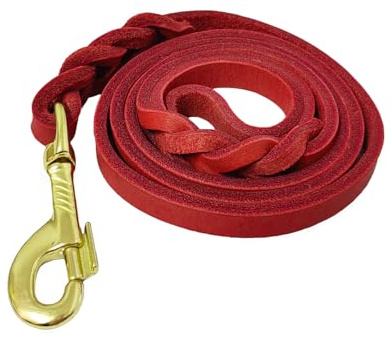 LWBMG Hundeleine aus Leder, geflochten, Bequeme Trainingsleine für kleine und mittelgroße Hunde, 1,2 m x 1,2 cm, Rot