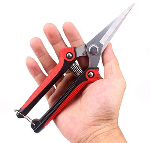 DDNGEJ Outil de Coupe Outils de Jardin Sécateur de Jardinage antidérapant Ensemble d'outils de Coupe en Acier Inoxydable Couteau d'élagage d'arbre Outil ménager 200 mm