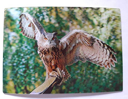 Schöning 3 D Ansichtskarte Eule, Postkarte Wackelkarte Hologrammkarte Tiere Eulen Uhus Vogel Greifvogel