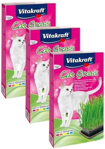 Vitakraft Cat Grass, 120g, Erba Gatta Gr Uomo, Standard, 120 g Confezione da 3