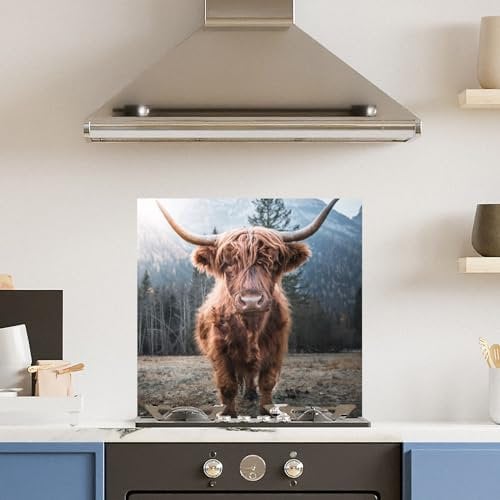 Premium (w)60cm x (h)60cm Highland Cow Glass 6mm Kitchen Splashback Heat Resistant Toughened Polished Edges - Back Splash Back Coloured Hob Painted Tempered Splashback