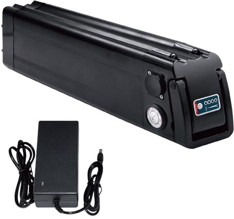 Ebike akku 36V 48V Fahrrad Pedelec akku Elektrofahrrad Whitebait Form für Aldi für MiFa Trio für Samsung Zhenlong Phylion und vieles mehr mit Ladegerät (48V 16Ah)