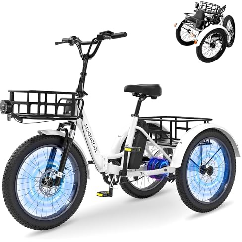 MOONCOOL E Bike Klapprad, 20 Elektrofahrräder Für Herren Damen, 36V 20AH Akku, 250W Motor 45 Nm, LCD-Display, IP65 Wasserdicht, 3 Fahrmodi, mit Großen Körben & Fußstützen