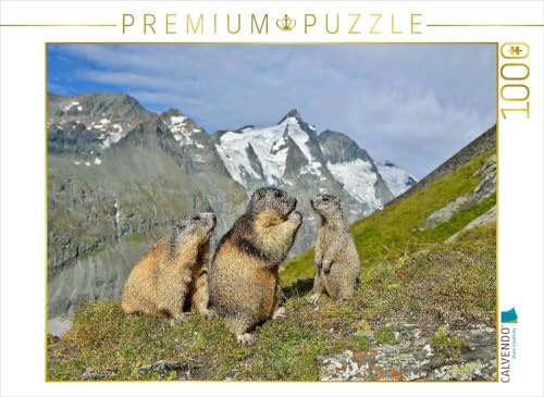 CALVENDO Puzzle EIN Motiv aus dem Kalender Murmeltiere | 1000 Teile Lege-Größe 64 x 48 cm Foto-Puzzle für glückliche Stunden