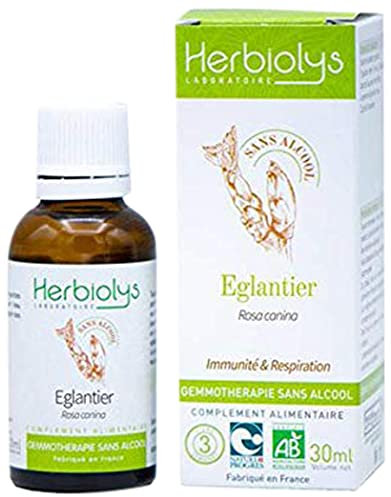 Macérât De Bourgeon Bio | Sans Alcool | Gemmothérapie | Flacon de 30 ml | Herbiolys (Eglantier)