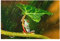 Bilderwelten Glasbild Echtglas Wandbild Wohnzimmer Deko - EIN Frosch im Regen 60 x 90 cm