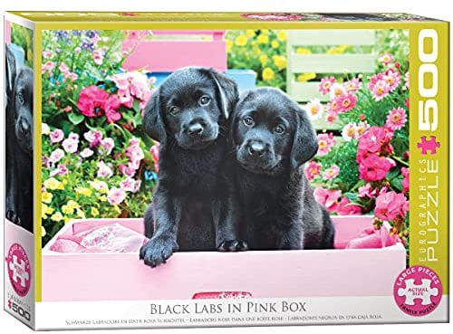 EuroGraphics EG65005462 Puzzle 500 Teile-Black Labs in Pink Box, verschieden