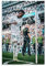 HANYING Vinícius Júnior Fußballkunst-Poster, Wandkunst, Poster, Schriftrolle auf Leinwand, Malerei, Bild, Wohnzimmer, Dekoration, Zuhause, 50 x 75 cm
