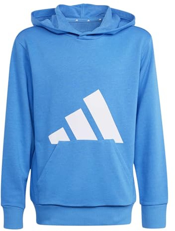 adidas Unisex Kids Essentials Big Logo Hoodie, ray Blue/White, 9-10 Years