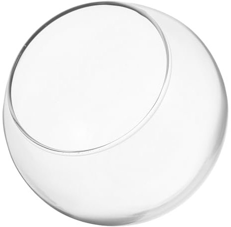 Toddmomy Bocal à Poissons Rond Verre Bocal à Poissons Transparent pour Plantes Hydroponiques Terrarium Verre Simple