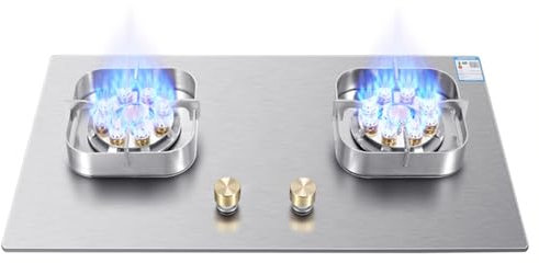 Cuisinière Au Propane, Cuisinière Au Propane Portable À Double Brûleur, Table De Cuisson À Gaz En Acier Inoxydable Maximum 17060BTU Adaptée À Au Camping-car Et Aux Appartements (Color : NG, Size : S