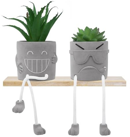 Woltoy 2-Piece Artificial Plants Indoor, Cement Planter, Plastic Succulent Plant, Smiling Face with Cool Face and Hanging Leg Design, Suitable for Office, Living Room, Bedroom, Bathroom