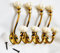 IvoryBlu777- Pack of 4 x Vintage Antique Style Aluminium Hook with Brass Bronze Finish -Heavy Duty Decorative Hallway Ceramic Wall Door Coat Bag Hook (Cream/White)
