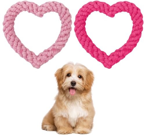 SGERUFZ 2pcs Robusto para forma de corazon Cuerda Perro, Limpieza Dental, Durable Masticable Cuerda, para Mascotas Cuerda Trenzada, Interactivo para Perros Pequeños y Medianos, Indestructible
