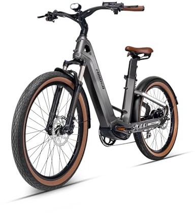 Zylvro Bici elettrica, con Doppia 48 V Batteria (9,Ah x 2), 26 Mountain Ebike, Corpo in fibra di carbonio, Connettività APP, Autonomia di 206km, 7 Velocità Bicicletta Elettrica (AIR (Grigio))