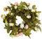vidaXL Künstliche Blumengirlanden 6 STK., Blumenkranz Hängend Pflegeleicht, Kunstblumen Girlande für Hochzeit Party Garten, Blumen Dekoration Seidenblumen, Champagner 215 cm