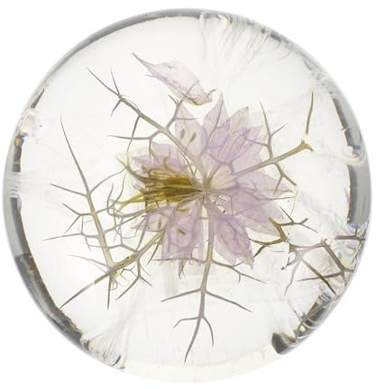 PLAFOPE 1 Pc transparent lait hydratant alimentation skincare chapeau de gâteau d'anniversaire artisanal nettoyant pour le visage de bain propre cosmétique fleurs
