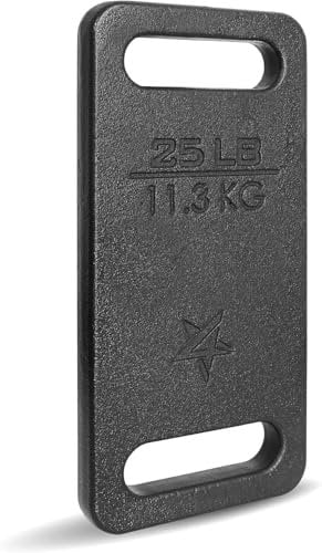 Yes4All Cast Iron Ruck Weight for Backpacks – Multiple Sizes Gym Equipment for Rucking, Swings, Squats, Strength Training, and Home Exercises