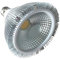 LNHHG LED-Mais-Glühbirne PAR38 Spot-Licht 15W Led Par38-Spot-Licht COB Par Cob Spotlight 85-265V Große Spannung(Warm white 3000K)