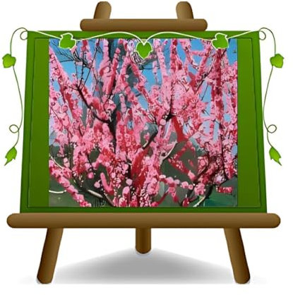 EURO PLANTS VIVAI Pesco Pesco da Fiore Rosa Pianta Ornamentale - su Vaso da 20 cm - Altezza 170 cm - 2 Anni