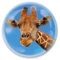 Deluxebase Magnidome - Giraffe Safari Kristallglas Kühlschrank Magnet für Kinder. Hervorragende gewölbte Magnete für Wohndekoration und Zubehör