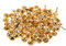Tofficu 100 Stück Pilznägel Mini Brads Scrapbooking Stifte Splinte Brads Papierverschlüsse Zum Basteln Brads Splinte Bastelstifte Brads Papierverschlüsse Hüte Nieten