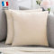Douceur De Plumes 2er Set Beiger Samt Dekorativer Kissenbezug 40x40 cm Uni, weicher moderner rechteckiger Kissenbezug für skandinavische Wohnzimmercreme, Schlafsofa (2 Beige)