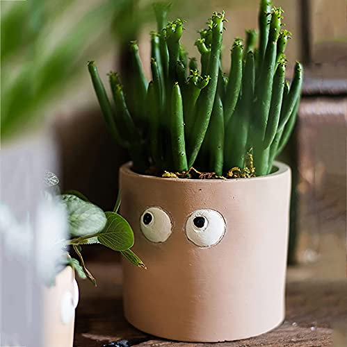 NICETOW Plantador de cimento Redondo e suculento com orifício de drenagem, Vasos de Plantas com Faces Decorativas Grandes e olhos Grandes, Vasos de Flores pequenos Bonitos para jardim Interno Ourdoo