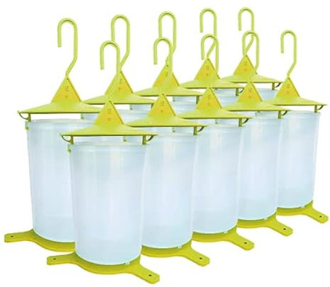 Pack de 10 trampa para moscas de fruta, moscas de cereza y moscas de olivo, ecológico y económico, para colgar y colocar